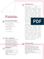 Creative Border Experienced Pink Resume-42