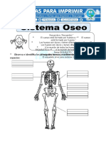 Ficha de Sistema Óseo para Primaria