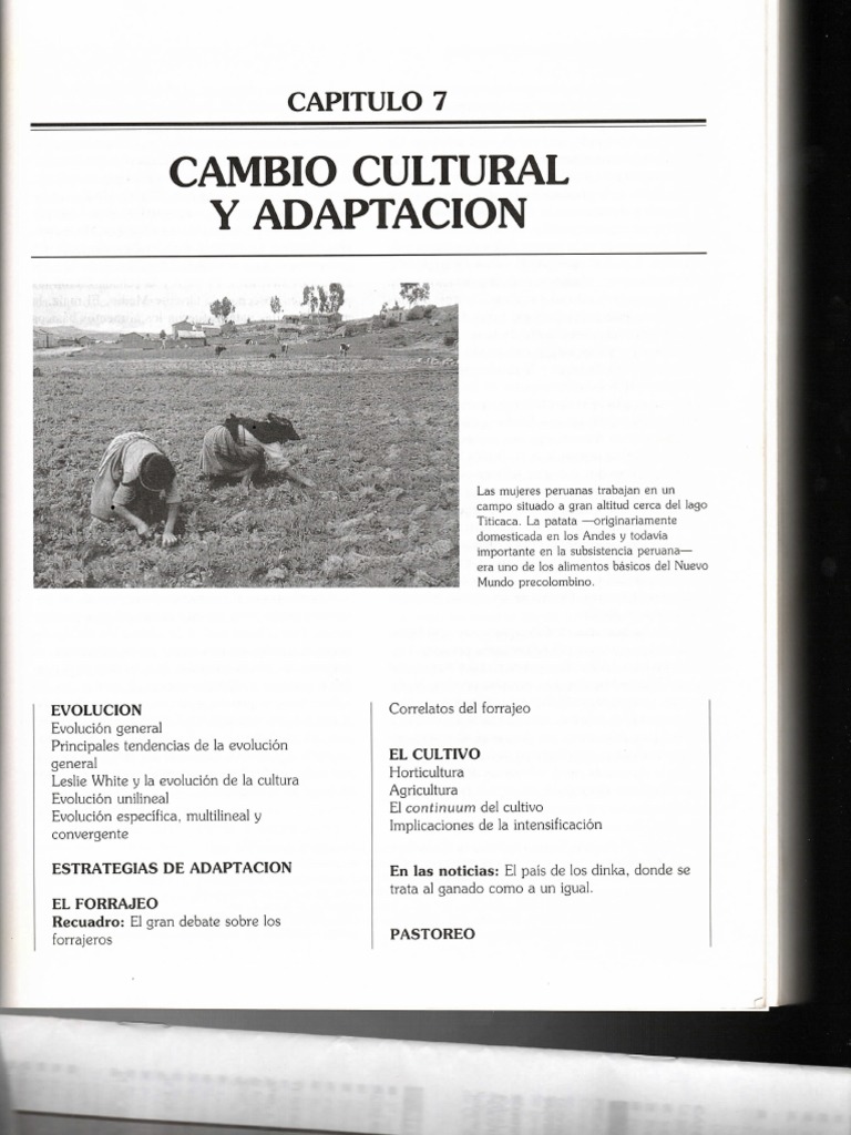 Cambio Cultural y Adaptación | PDF