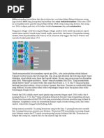 Download Dna by Adam Hartono SN45986183 doc pdf