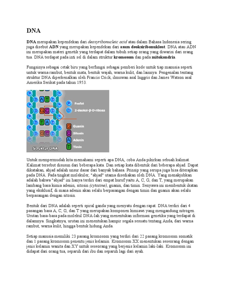 Memahami DNA dan Tes DNA | PDF