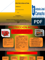 Infografia Proteccion Activa