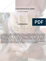 Conologia Dentaria Del Equino