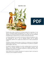 Agricultura Maya