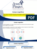 Campos Magneticos Naturales y Artificiales