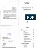 CEF - Teorie - Brezeanu-Draghici 2013 PDF