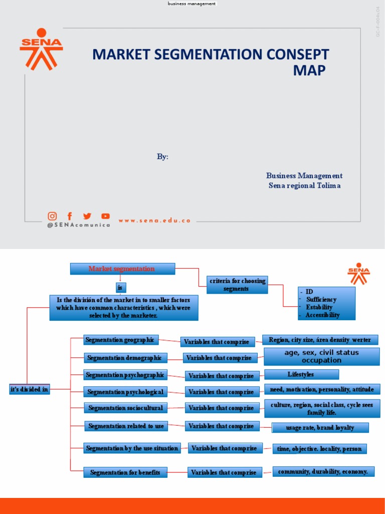 Market Segmentation Basics | PDF