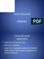 2.- CICLO CELULAR, mitosis