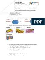 English evaluation worksheet for 5th grade students