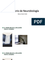 C1 Laboratorio de Neurobiología-Lab1 PDF
