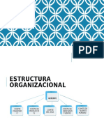 Estructura Organizacional