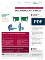 FT Prevencion Dolor Muscular Auxiliares Serv. V1 PDF