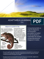 Adaptarea La Animale