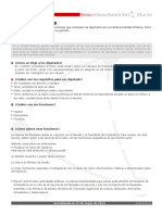 Ficha_diputados.pdf