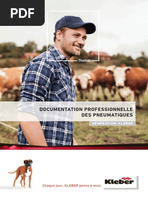 Ba Kle CHF 2019 PDF  PDF  Pneumatique (véhicule)  Pièces de 