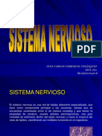 Tejido Nervioso Parte 1.pdf