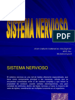 Tejido Nervioso Parte 1 PDF