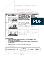 Nota Fotosintesis