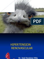 14.  HTA Renovascular.pptx