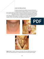 extrinsic laryngeal muscle anatomy.pdf