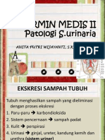 2.termin Ii-Patologi S.urinaria PDF