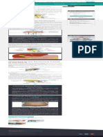 Anatomy of Peritoneum PDF