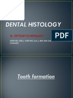 Dr. EBTISAM ELHAMALAWY Dental Anatomy
