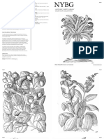 NewYorkBotanicalGarden_ColorOurCollections_2018.pdf