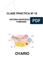 CLASE PRACTICA N&ordm 19 FEMENINO