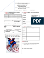 Taller Sistema Circulatorio PDF