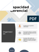 Capacidad Gerencial 2