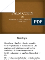 Palm Coen