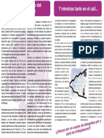 Propuesta_de_boletin_violeta_central.pdf