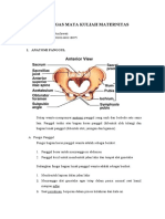 Anatomi Panggul dan Organ Reproduksi