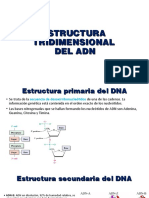 Ácidos Nucleicos ffrv2