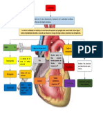 Mapa Cardioplejia