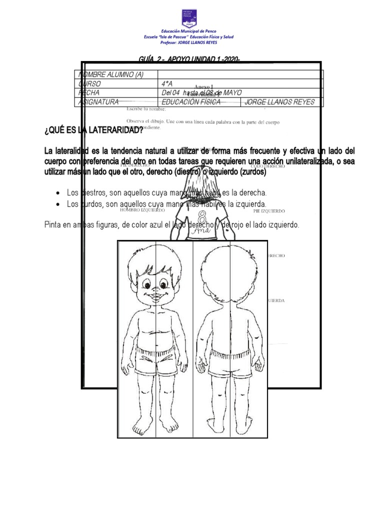 Lateralidad en Educación Física Infantil | PDF | Handedness | Aprendizaje