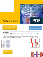 Sistema Renal