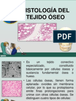 Histología Del Tejido Óseo