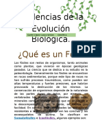 Actividad de Evidencias de Evolución Biológica