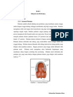 AnatomiPalatum.pdf