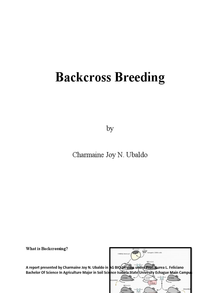 backcross-breeding-what-is-backcrossing-pdf-plant-breeding-zygosity