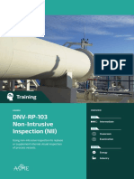 DNV-RP-103 Non-Intrusive Inspection (NII) : Training