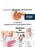 Fisiologia Pancreas