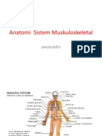 Anatomi Sistem Muskuloskeletal-1