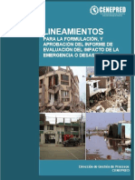 XVI-LIN-lineamientos-EIED-07-06.pdf