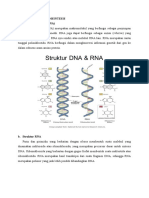 Molekul Yang Disintesis - RNA Novy RS