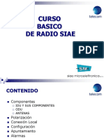 Capacitación-SIAE.pdf
