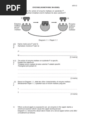 Latihan Enzyme Pdf Enzyme Catalysts