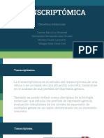 Transcriptómica PDF